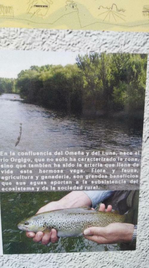 El Rinconcito De Llamas Llamas de la Ribera Bagian luar foto
